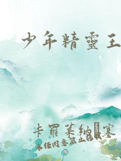 少年精灵王
