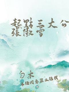 起点三大公交车张傲雪