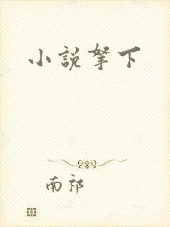小说拿下