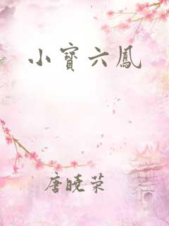 小宝六凤