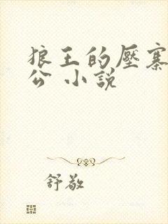 狼王的压寨小相公 小说