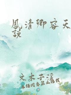 凤清卿容天凌小说