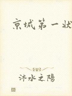 京城第一状师