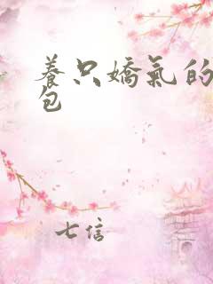 养只娇气的小哭包