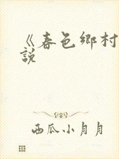 《春色乡村》小说