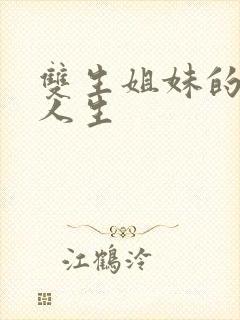 双生姐妹的错位人生