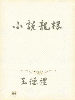 小说龙根