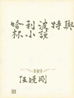 哈利波特与火焰杯小说