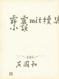 霹雳mit续集小说