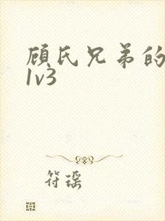 顾氏兄弟的南宁1v3