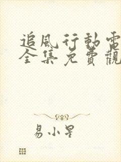 追风行动电视剧全集免费观看