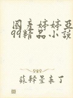 国产婷婷亚洲999精品小说