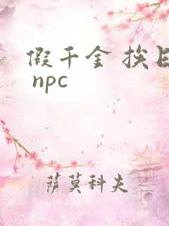 假千金 挨日记 npc