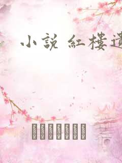 小说 红楼遗秘