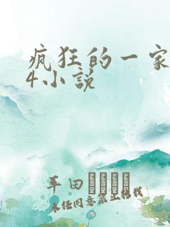 疯狂的一家PS4小说