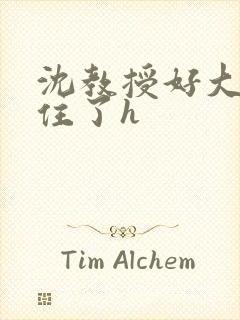 沈教授好大含不住了h