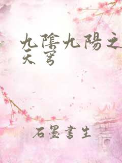 九阴九阳之武战天穹