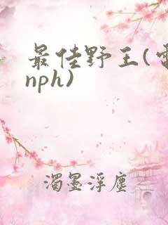 最佳野王(电竞nph)