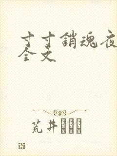 寸寸销魂夜春光全文