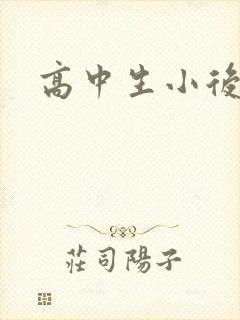 高中生小后妈