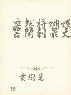 突然将蝴蝶遥控器开到最大