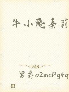 牛小飞秦莉莉