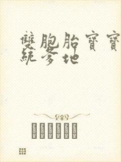 双胞胎宝宝的总统爹地