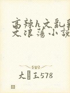 高辣h文乱乳h文浪荡小说txt