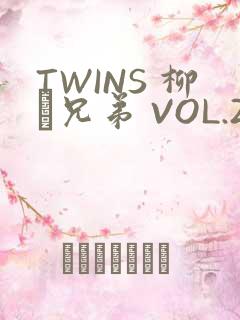 TWINS 柳澤兄弟 VOL.2