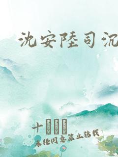 沈安陆司沉