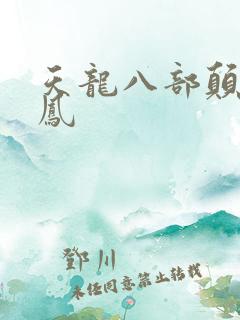 天龙八部颠龙鸾凤