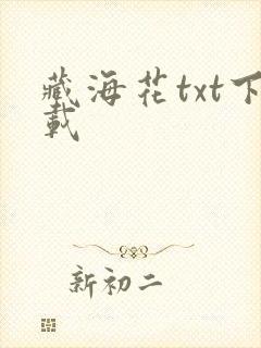 藏海花txt下载