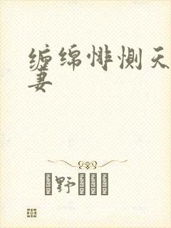 缠绵悱恻天价前妻