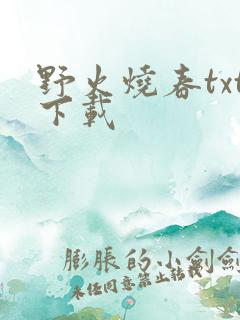 野火烧春txt下载