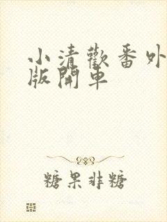 小清欢番外完整版开车