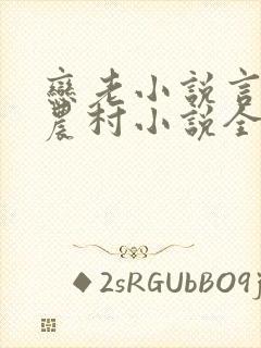 恋老小说言情网农村小说全文阅读