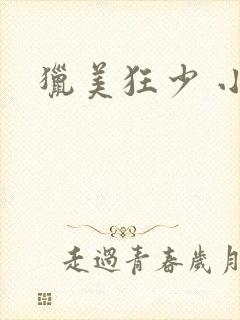 猎美狂少 小说