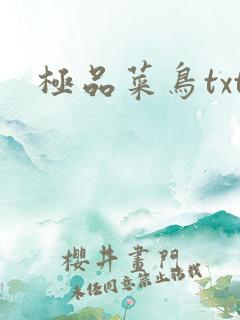 极品菜鸟txt