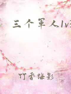 三个军人1v3