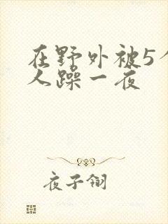 在野外被5个男人躁一夜