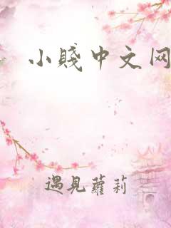 小贱中文网