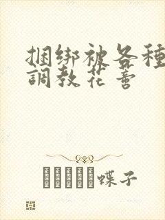 捆绑被各种工具调教花蒂