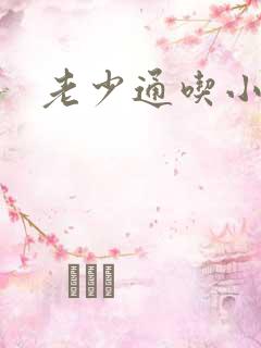 老少通吃小说
