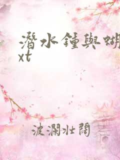 潜水钟与蝴蝶txt