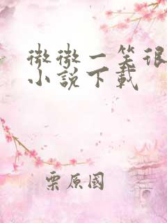 微微一笑很倾城小说下载