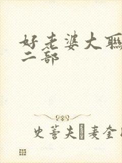 好老婆大联盟第二部