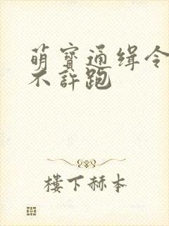 萌宝通缉令妈味不许跑