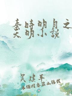 秦时明月之夜尽天明小说