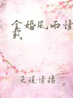 金婚风雨情 下载