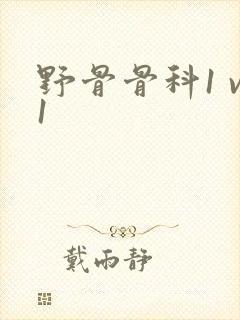 野骨骨科1 v1